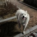 딩가PC방 이미지