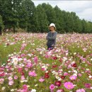 구리한강시민공원 이미지