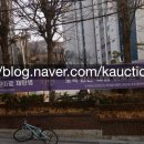 대도 초등학교 병설 유치원 네이버블로그