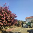 한라산 당구장 이미지