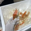 일성낙지 | [대구 북구] 매천시장 일성수산 대게 구매 후기
