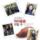 낙성초등학교 이미지