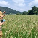 부여토종씨앗도서관협동조합 이미지