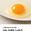 골드에그랑 이미지