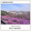 부천 종합운동장역(1번 출구) | 부천 원미산 진달래축제 개화율 주차 주말 다녀온 후기