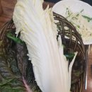 털보네집 이미지