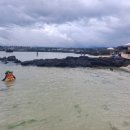 신흥목장2 이미지