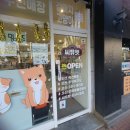 씨유펫오산 - 오산시 운암로 35 | 오산애견용품 24시 무인애견샵 씨유펫 오산시청점