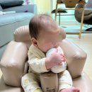 뜨는 돌 | [육아용품] 내돈내산 트립트랩 하이체어 구매 및 후기 - 돌돌트...?