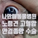 나만 애 동물병원 이미지