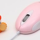 성도고등학교 이미지