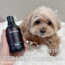 현주가소키우는집 | 강아지샴푸추천 고민 끝 리꼬르소 강아지 볼륨샴푸 후기