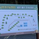 담양대나무골캠핑장 | 광주근교 전남 담양 오토캠핑장 추천 대나무골 캠핑장