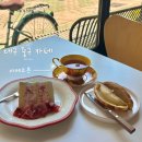 수상건설(주) | 대구 동인동 카페 추천 동인동베이커리 맛집 나만 알고 싶은 카페 카페코튼
