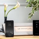 시그니처에디션 이미지