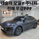 (신)유광카 | 테슬라 모델Y 주니퍼 신차 검수, 썬팅, 무광 PPF까지 한 번에 해결 가능한 카비지트