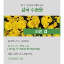 은스킨&바디