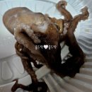 수원-0940 | 수원 오목천 해물 맛집 조리고 해신탕 배달 후기