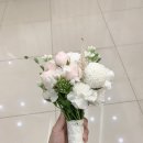 사랑-동행 | 사랑스러웠던 유성컨벤션 그랜드홀 예식 동행 후기 - 올웨딩 수빈플래너