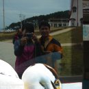 약수초등학교 이미지