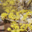 원투공인중개사사무소 이미지