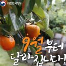 2024 대구국제식품산업전 K-FOOD 다녀왔어요