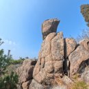 흥양농협중앙주유소 | 말이 엎드린 형상을 하고 있는 고흥 마복산 &#34;2025. 12. 7.&#34;