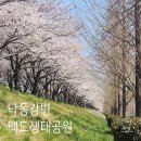 대저생태공원(맥도생태공원 관리사무소 옆) | 낙동강 30리 벚꽃길 맥도 생태공원 자전거 대여