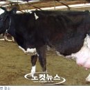 현웅목장 이미지