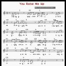 날세우시네 듣기 악보 가사 찬양 ★아이사랑 유사니멀즈★ you raise me up 나의 영혼 연약하여 지치고 이미지