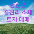 금강산공인중개사사무소 이미지