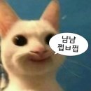 2023 데이 데이 콘서트 Ⅰ 페퍼톤스 X 나상현씨밴드 | 2023 컨텐츠 모음집