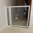 그룸 앤 먼치 이미지