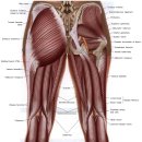 무릎 근육과 뼈의 촉진 매뉴얼 이미지
