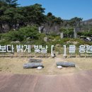 사명대사공원 잔디광장 이미지