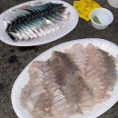 UR(서귀포시)-[표선중앙로110번길]-상-5 | 표선수산마트 회포장, 제주도민 추천 고등어회 맛집