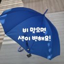 디엠아이 | 비 오는 등굣길이 즐거워지는 우산, 카르페디엠 스마트 컬러 자동 장우산 아이·학생용 후기