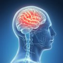 공주경희한방병원 이미지