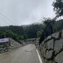 금낭화타운 이미지