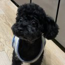 우주라이크앤 네이버블로그