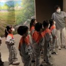 영양중앙초등학교 이미지