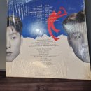 알리바바의 보물창고