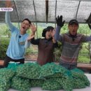 고향철물