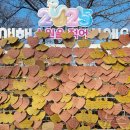 남천둔치1 이미지