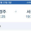 천마여행 이미지