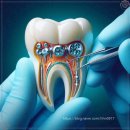 신사플란트치과병원 이미지