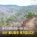 용현자연휴양림 야영장 | [공지] 올봄 서산 가볼 만한 곳, 국립용현자연휴양림