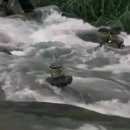 초보생활영어 이미지