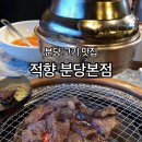 적향 이미지