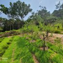 정식목장 이미지